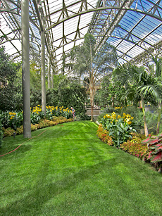 Lawn in the Conservatory