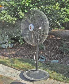 Misting pedestal fan