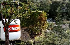Gap in Yew Hedge