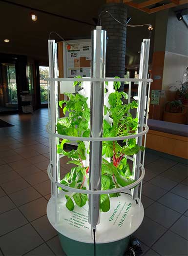 Tower Garden