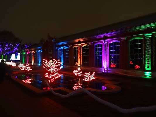 Columns of light on the old greenhouse