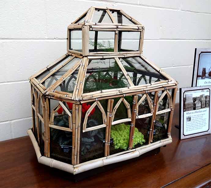 Terrarium in Wardian box exhibit