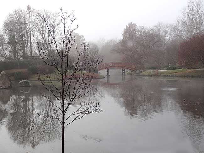 Foggy morning in the Japanese Garden