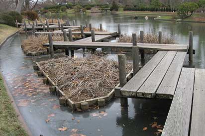 zig-zag bridge